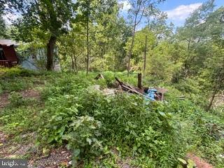 90 Hilldale Road Pequea, PA 17565 - Photo 4 of 6 Gallery Image 4