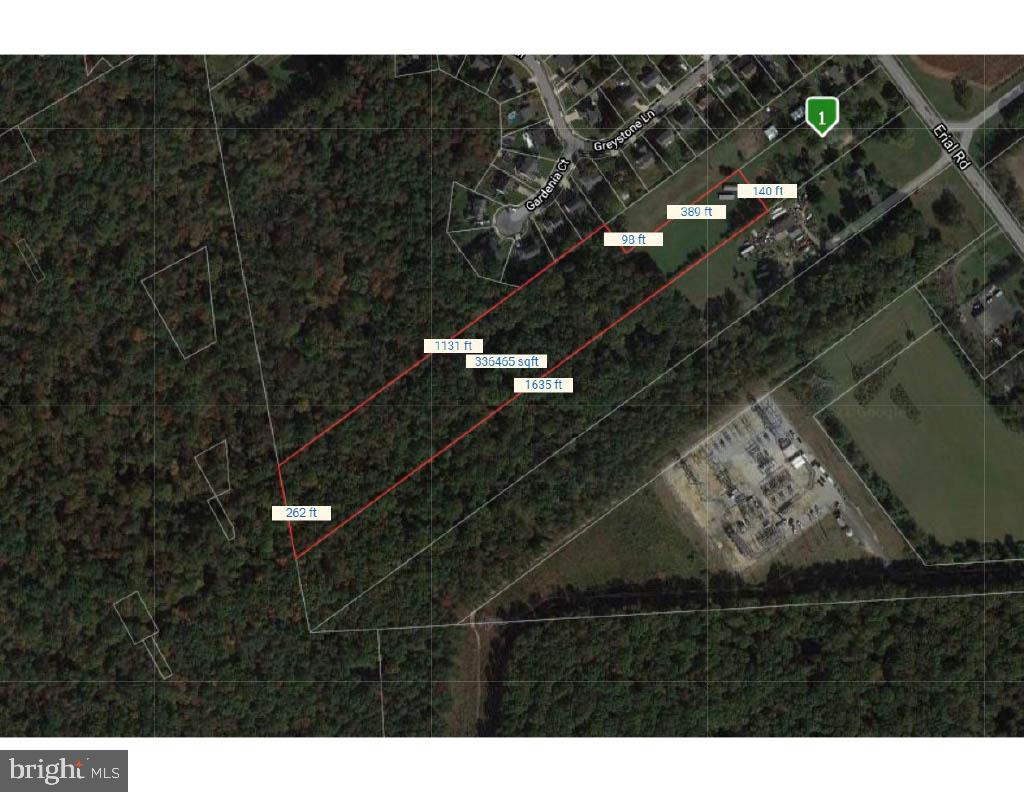 559 Erial Road Sicklerville, NJ 08081 - Photo 20 of 43 Rear Acreage