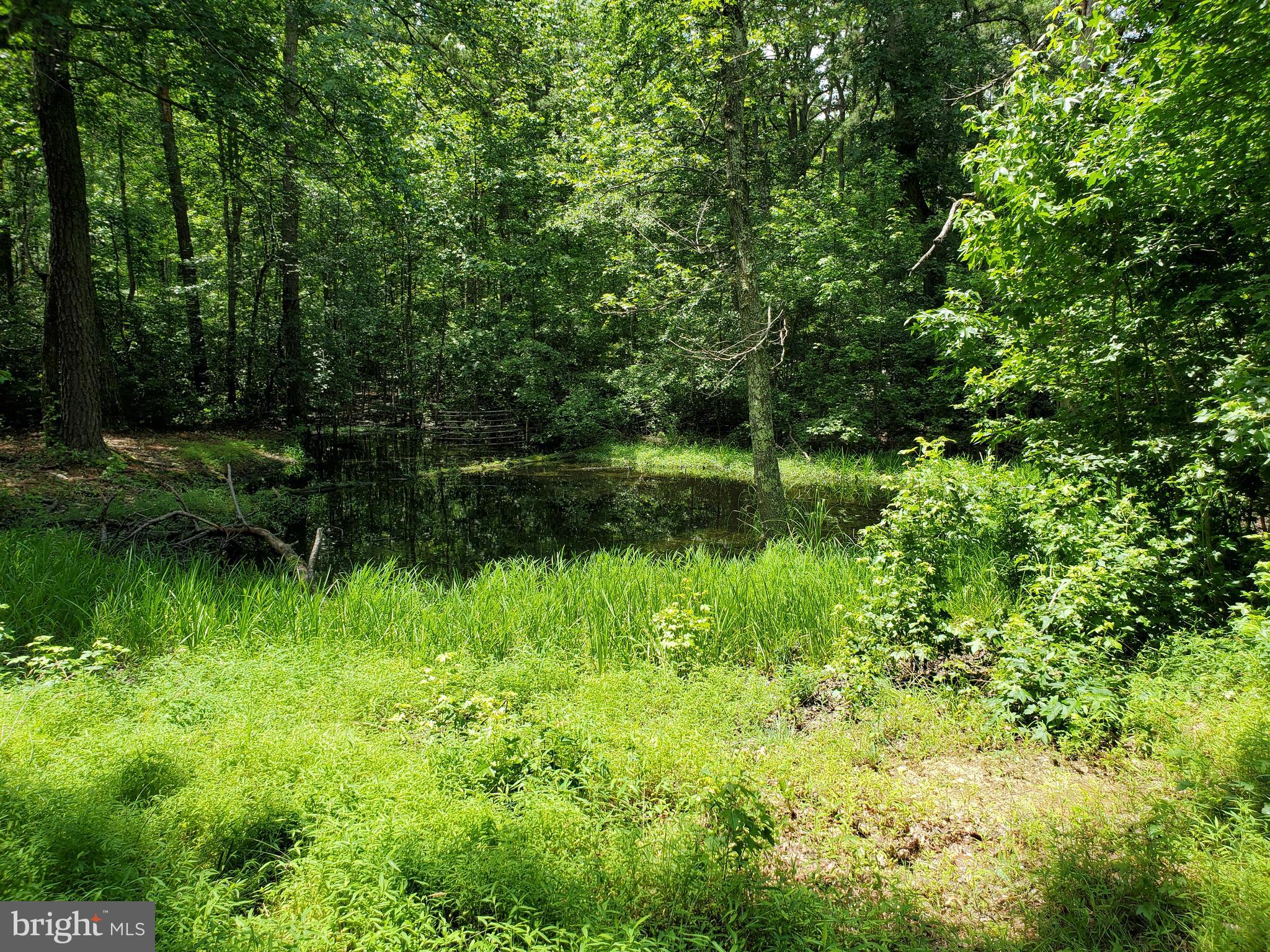 559 Erial Road Sicklerville, NJ 08081 - Photo 35 of 43 Pond