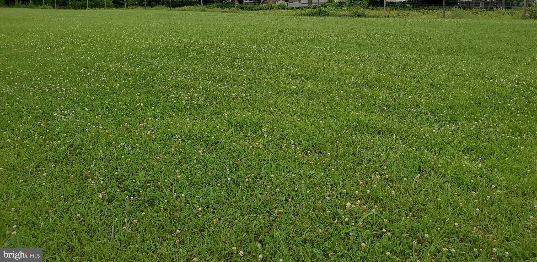 559 Erial Road Sicklerville, NJ 08081 - Photo 38 of 43 Rear Yard/Pasture