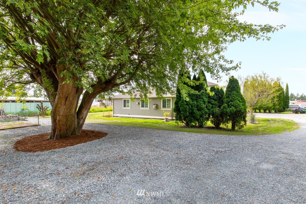 16722 Blodgett Road Mount Vernon, WA 98274 - Photo 6 of 37 a view of swimming pool with a yard