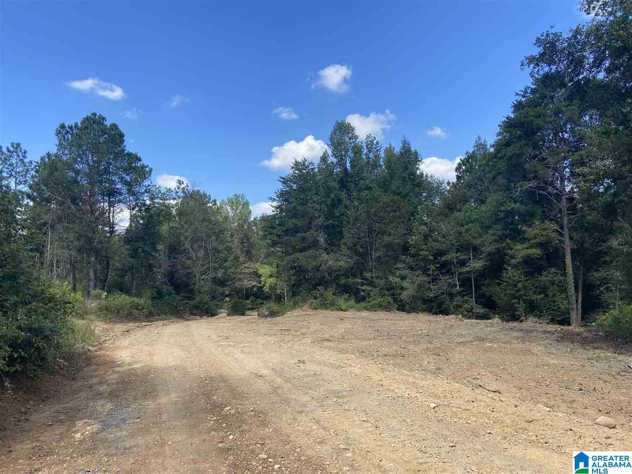 Cold Branch Road, Unit 48 Arab, AL 35016 - Photo 27 of 27