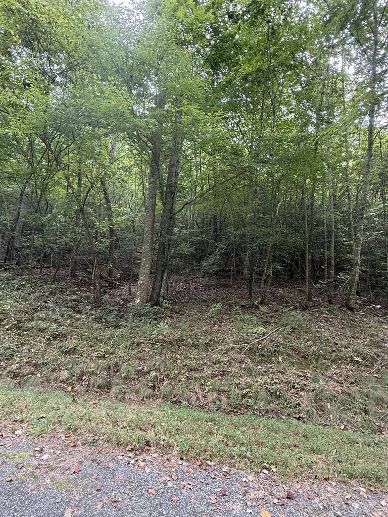 0 Henson Road Hayesville, NC 28904 - Photo 6 of 28 Gallery Image 6