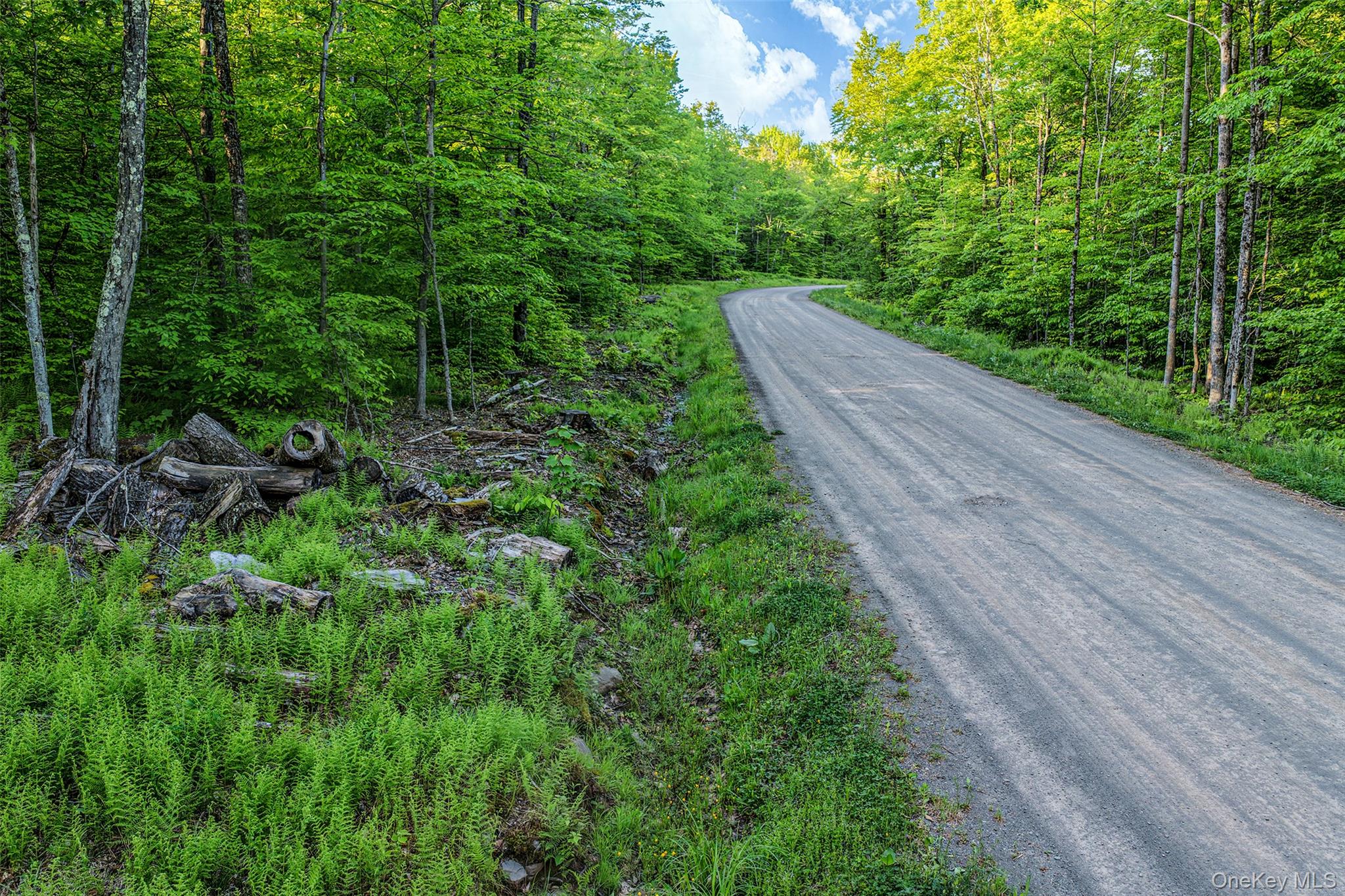 Frank Slawson Road Oneonta, NY 13820 - Photo 5 of 30 Gallery Image 5
