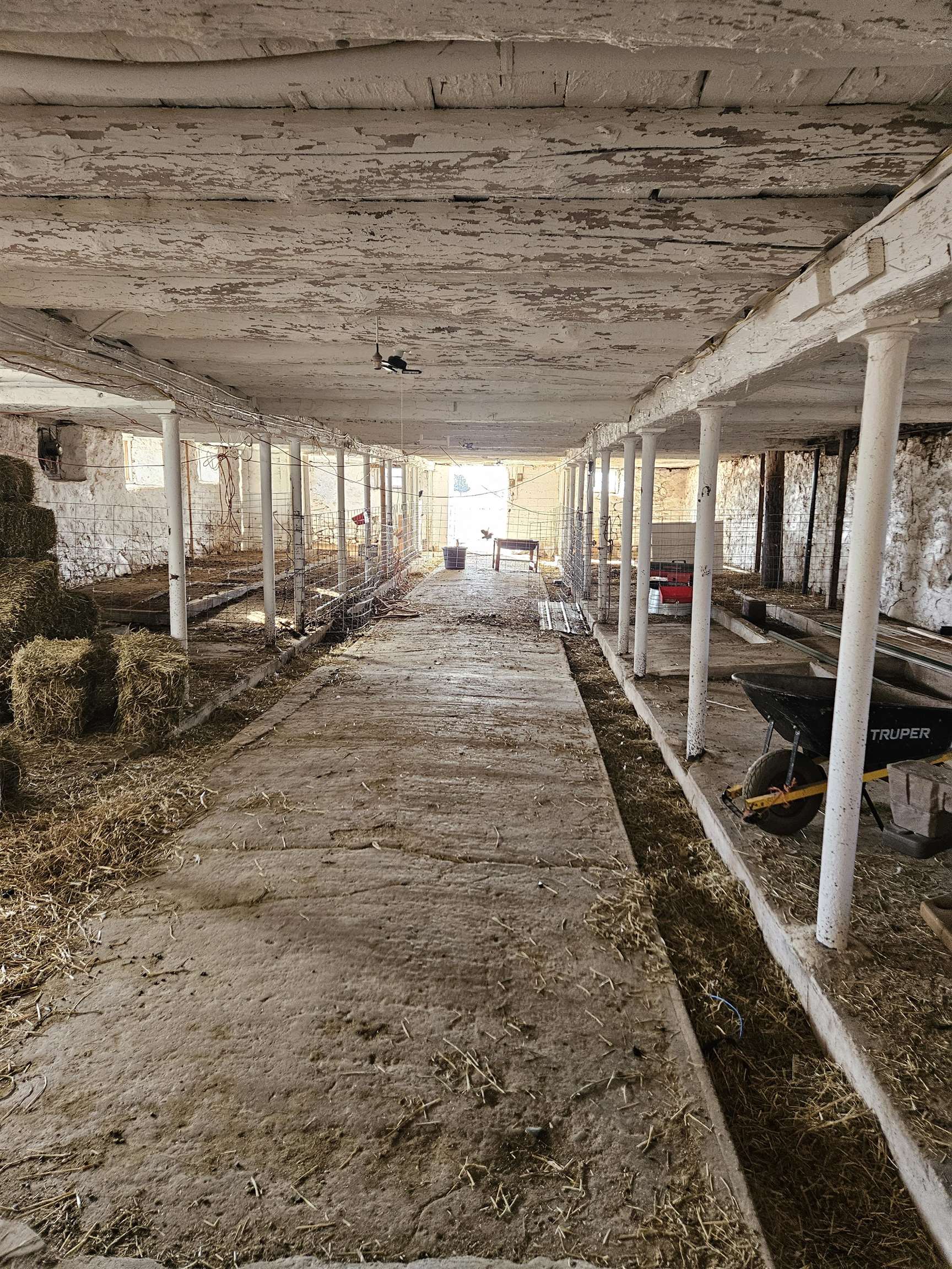 County Road, Unit 1 Larsen, WI 54947 - Photo 15 of 23