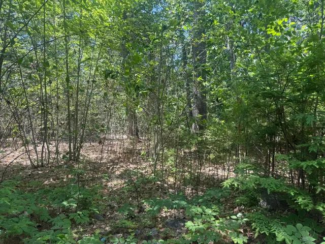 $275,000 | Lot 60 Heater Road, Damariscotta, ME 04543