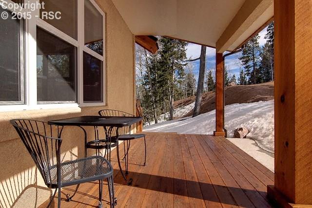 53 Haven Road Divide, CO 80814 - Photo 9 of 22