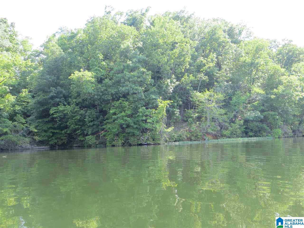 Lot 2 Eagle Mountain Road, Unit 2 Alexander City, AL 35010 - Photo 2 of 8 Gallery Image 2