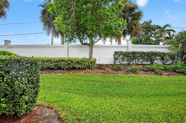 a view of a backyard with plants and a fountain
