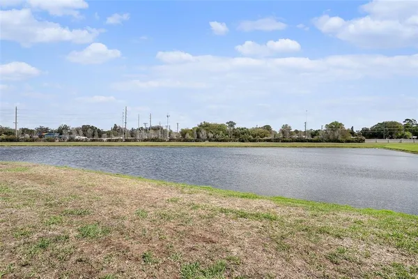 $430,000 | 11882 Thicket Wood Drive, Riverview, FL 33579