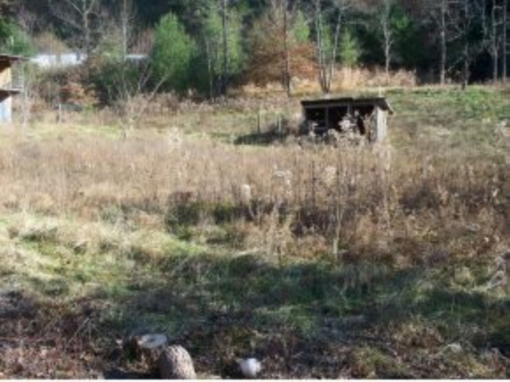 505 Raven Cliff Road Erwin, TN 37650 - Photo 3 of 15 Photo 3