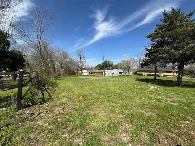 a view of a park with large trees