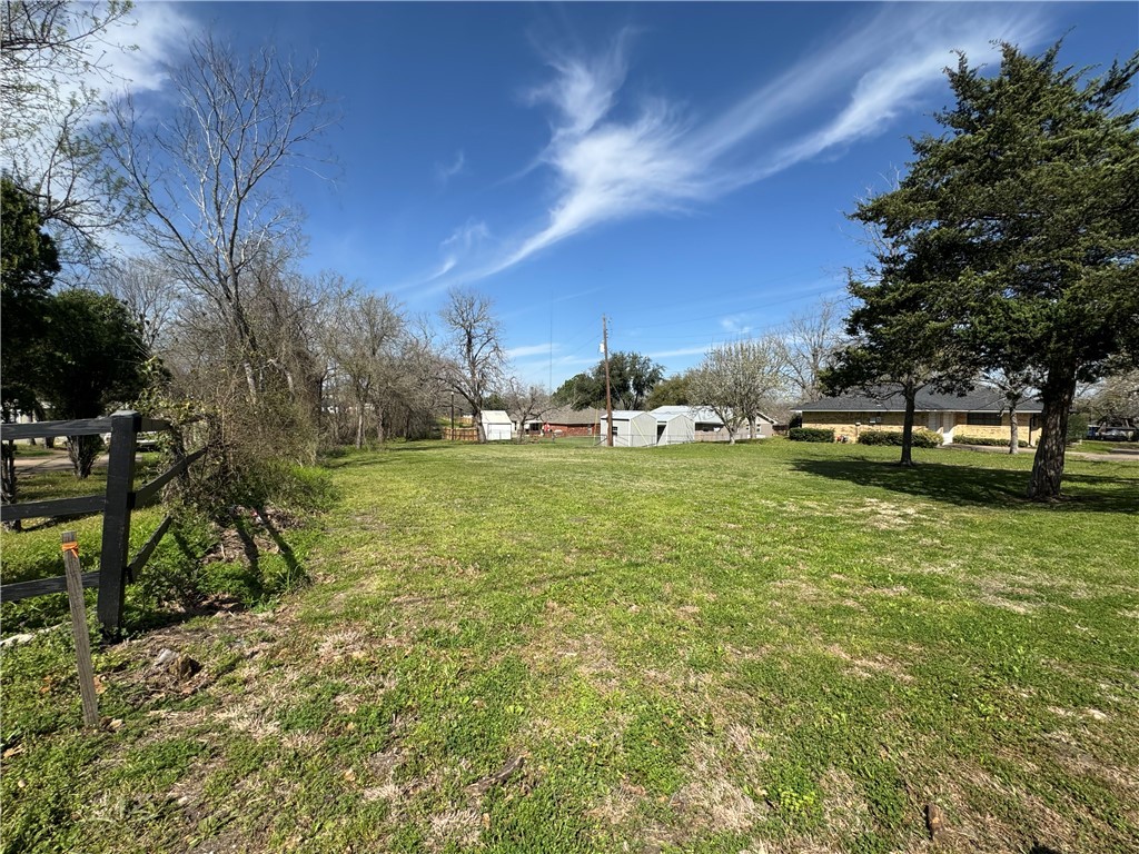 a view of a park with large trees