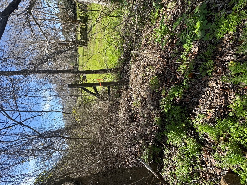 0 North Drumm Street Brenham, TX 77833 - Photo 11 of 15 a view of backyard