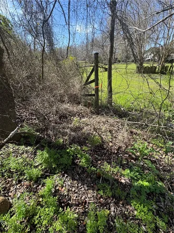 a view of a yard with plants and trees