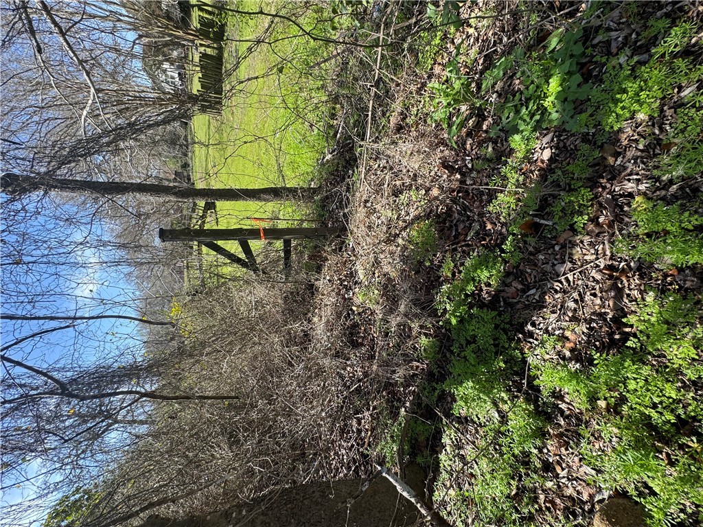 0 North Drumm Street Brenham, TX 77833 - Photo 10 of 15 a view of a yard with plants and trees
