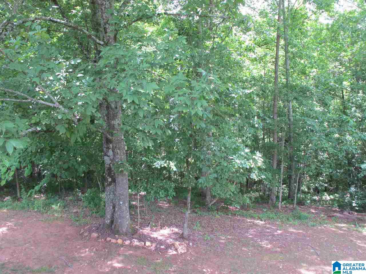 8101 County Road 25 Heflin, AL 36264 - Photo 30 of 35