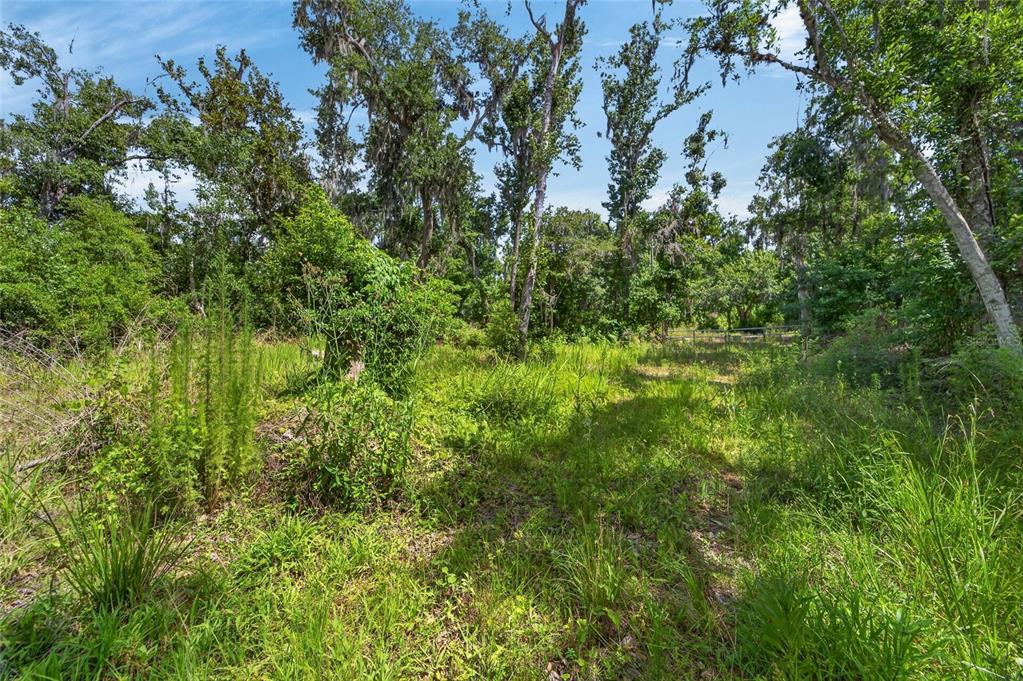 672 Highway Lithia Lithia, FL 33547 - Photo 17 of 24