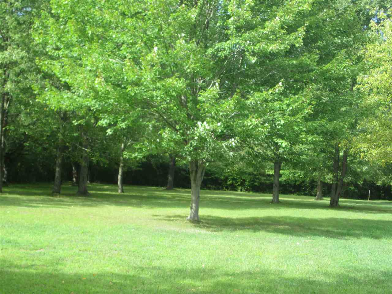35665 Pratt Road Memphis, MI 48041 - Photo 3 of 6