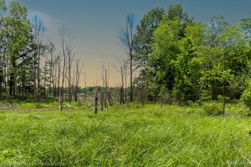 0 Hensell Road Holly, MI 48442 - Photo 11 of 17