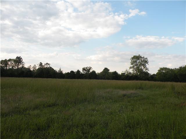 400 Zachary Road Lebanon, TN 37090 - Photo 5 of 8 Another open field