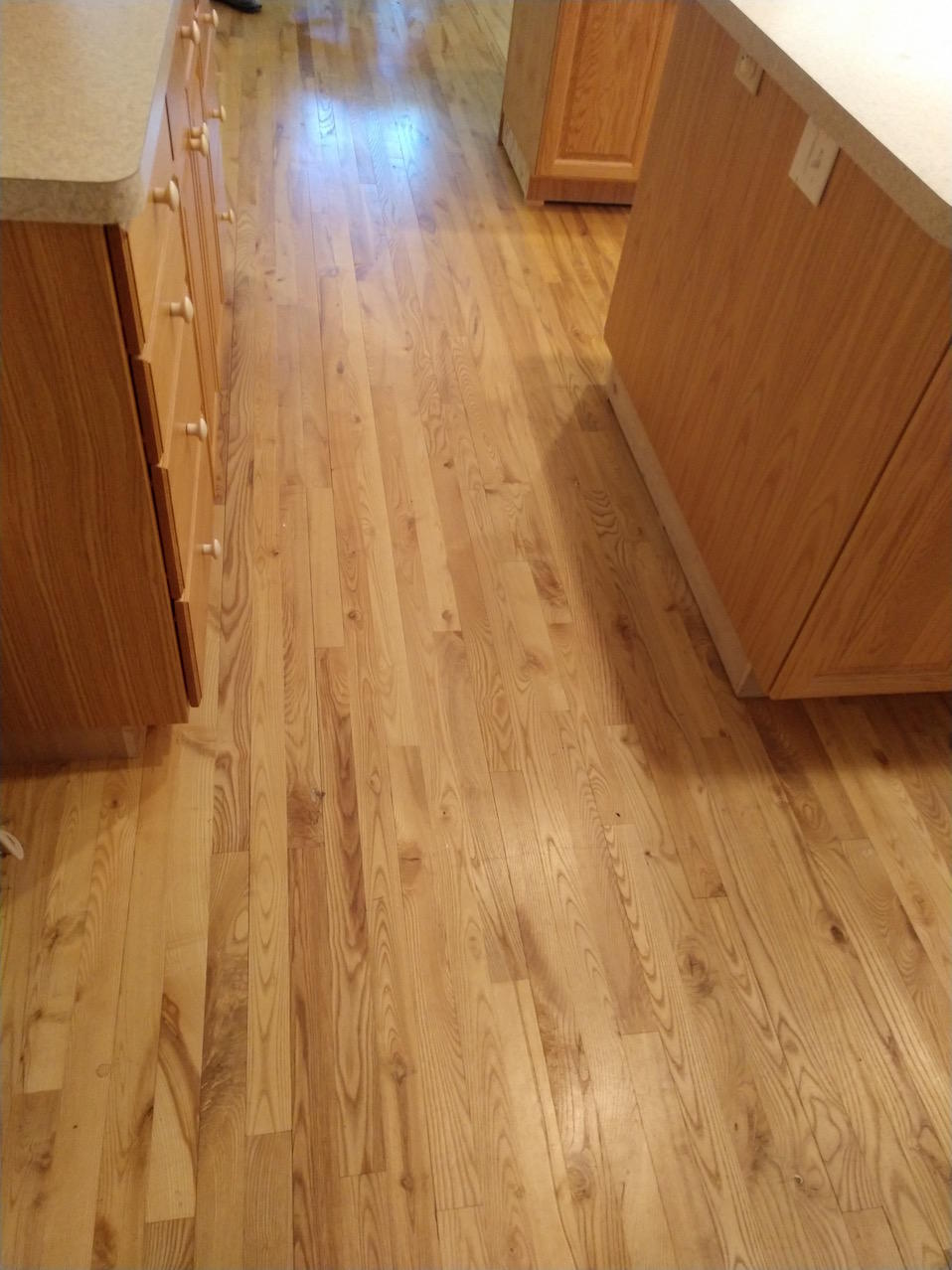 8780 North Whitefish Point Road Paradise, MI 49768 - Photo 16 of 28 Gallery Image 16