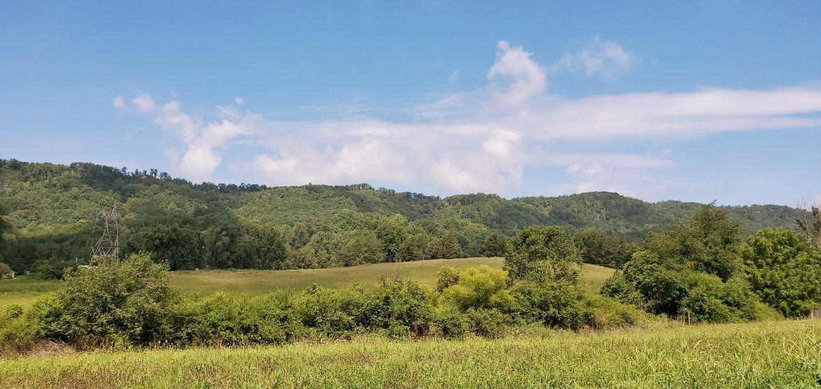 3129 B Dutch Valley Road Clinton, TN 37716 - Photo 1 of 4 Beautiful land with creek