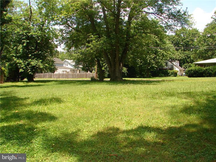 440 Cedar Avenue Lindenwold, NJ 08021 - Photo 5 of 7 Back Yard