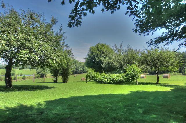1433 Tennessee Ridge Road Waverly, TN 37185 - Photo 17 of 21 Gallery Image 17