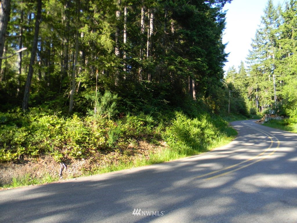 231 Hazel Point Road Quilcene, WA 98376 - Photo 12 of 17 Gallery Image 12