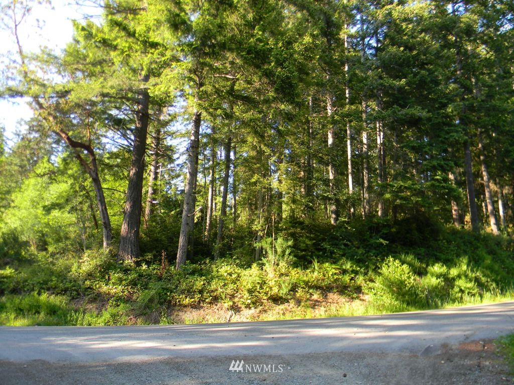 231 Hazel Point Road Quilcene, WA 98376 - Photo 13 of 17 Gallery Image 13
