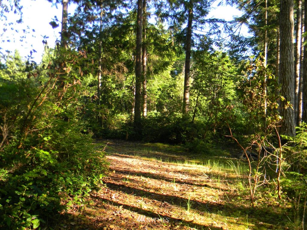 231 Hazel Point Road Quilcene, WA 98376 - Photo 14 of 17 Gallery Image 14