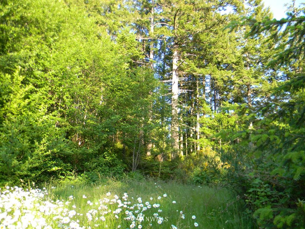 231 Hazel Point Road Quilcene, WA 98376 - Photo 17 of 17 Gallery Image 17