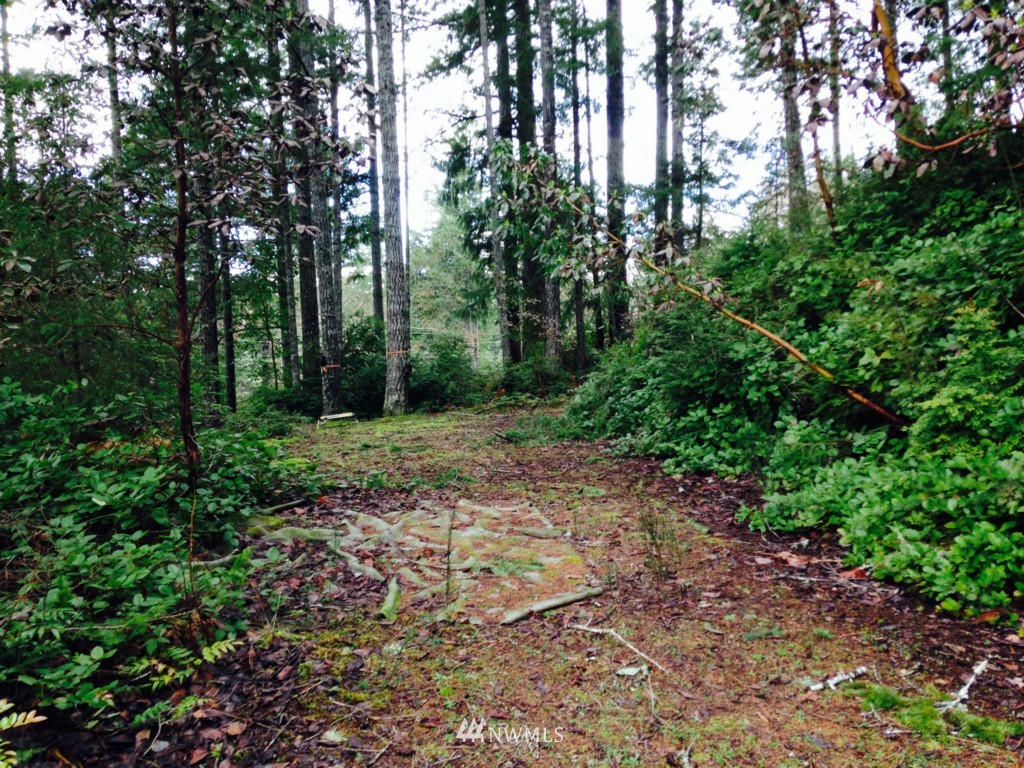 231 Hazel Point Road Quilcene, WA 98376 - Photo 3 of 17 Gallery Image 3