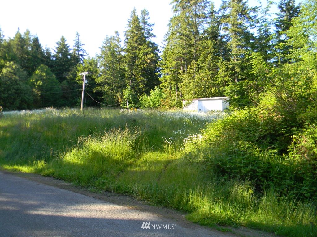 231 Hazel Point Road Quilcene, WA 98376 - Photo 4 of 17 Gallery Image 4