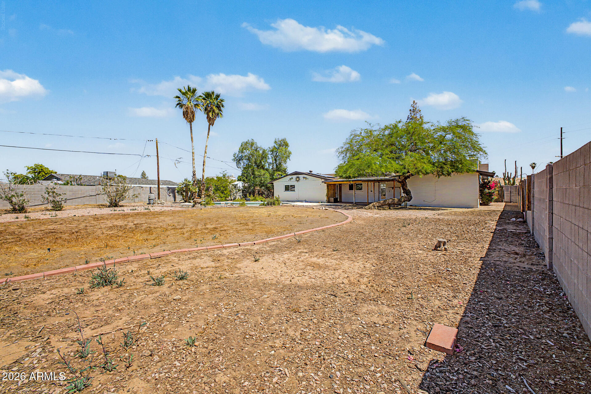 2552 East Brown Road Mesa, AZ 85213 - Photo 34 of 38 Backyard-1