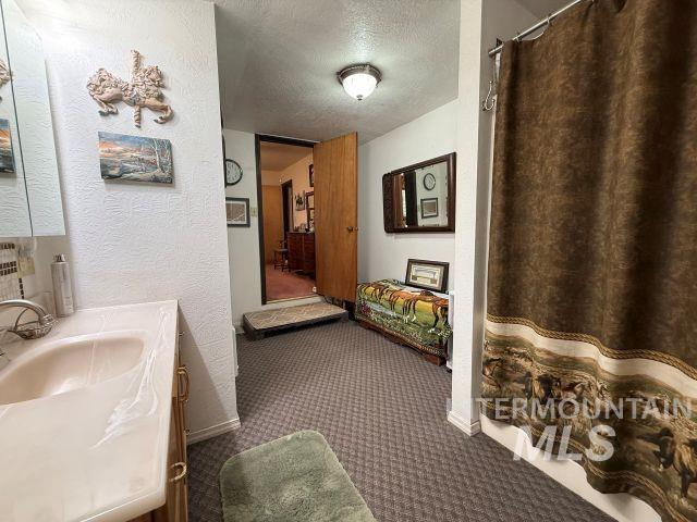 848 Jonathan Road Weiser, ID 83672 - Photo 13 of 42 Full bath with a textured wall, vanity, a textured ceiling, curtained shower, and dark colored carpet