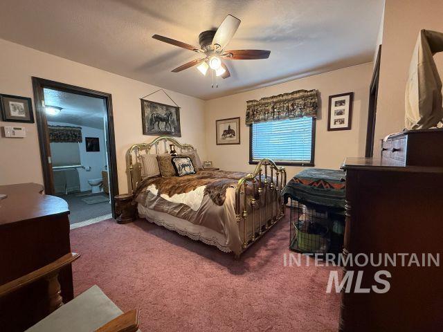 848 Jonathan Road Weiser, ID 83672 - Photo 8 of 42 Carpeted bedroom with a ceiling fan and connected bathroom