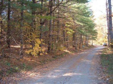 Lot 7 Blue Bend Road Rocky Mount, VA 24151 - Photo 5 of 6 a view of a yard with a tree