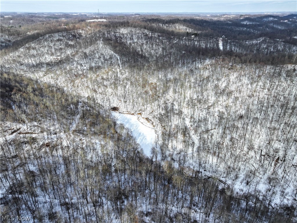 Bird's eye view of a forest