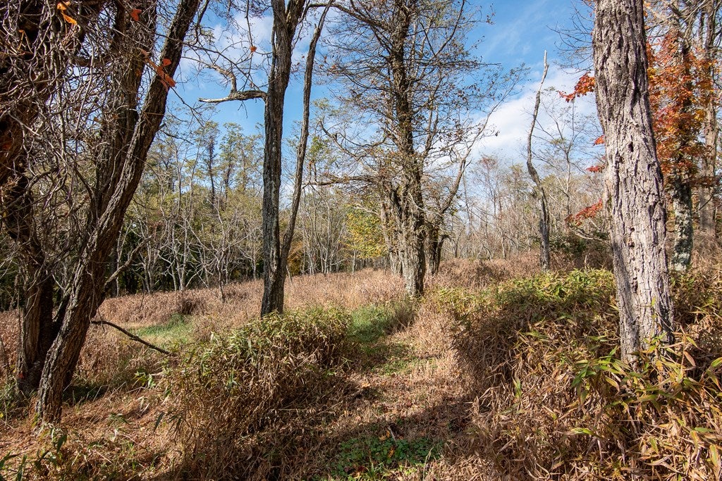 Tbd Tbd Fairview Church Road Floyd, VA 24091 - Photo 7 of 36 Gallery Image 7