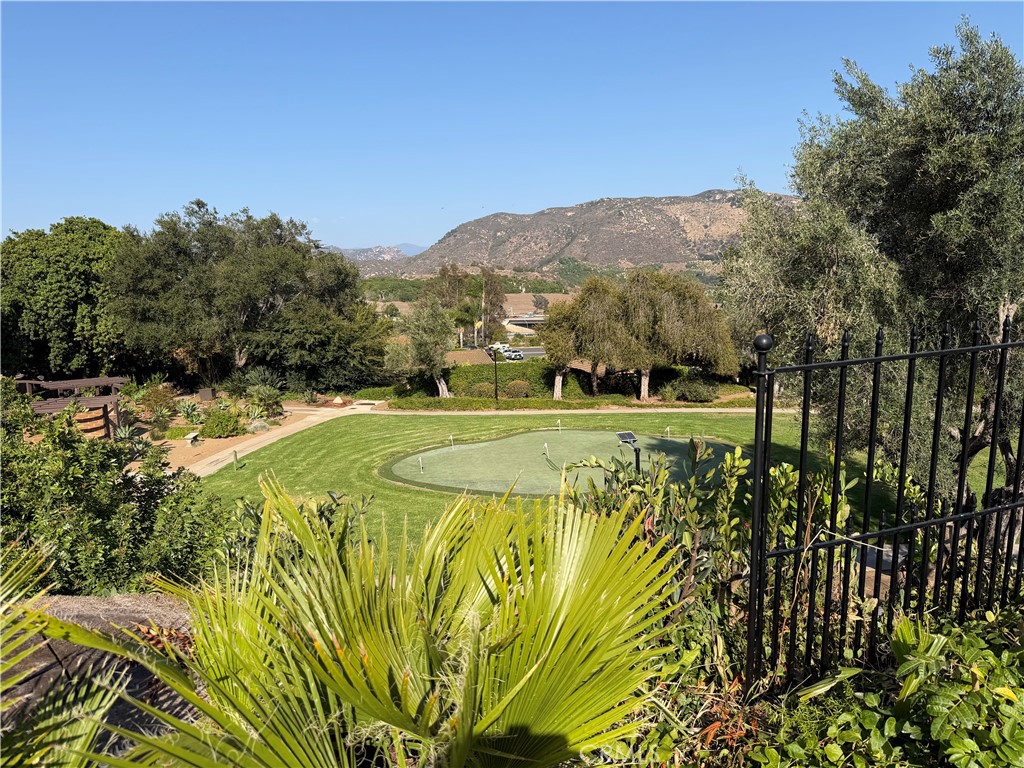 3252 Vía Altamira Fallbrook, CA 92028 - Photo 40 of 48 Views Backyard