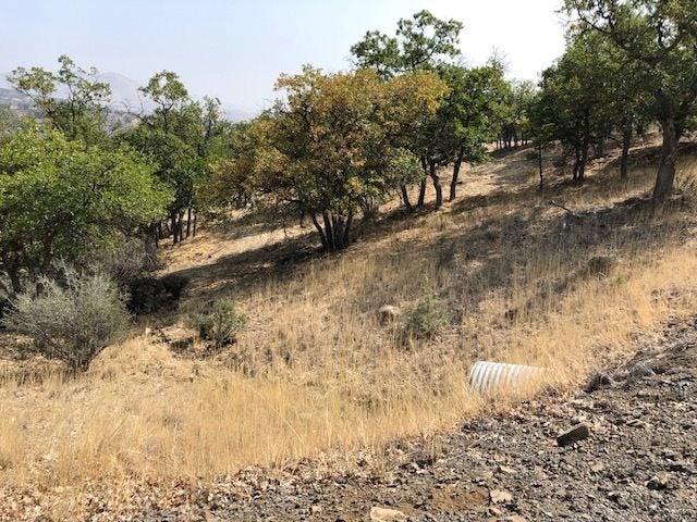Lot 660 Racoon Court Hornbrook, CA 96044 - Photo 3 of 5 Gallery Image 3
