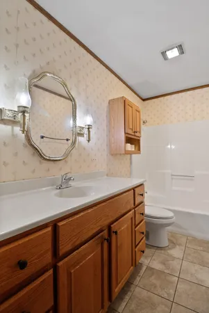a bathroom with a sink a toilet and mirror