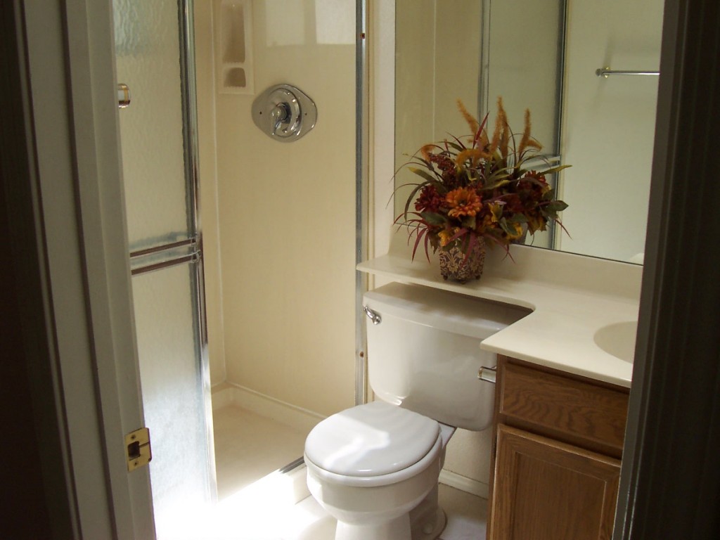 1222 West Baseline Road, Unit 257 Tempe, AZ 85283 - Photo 19 of 24 MASTER BATHROOM