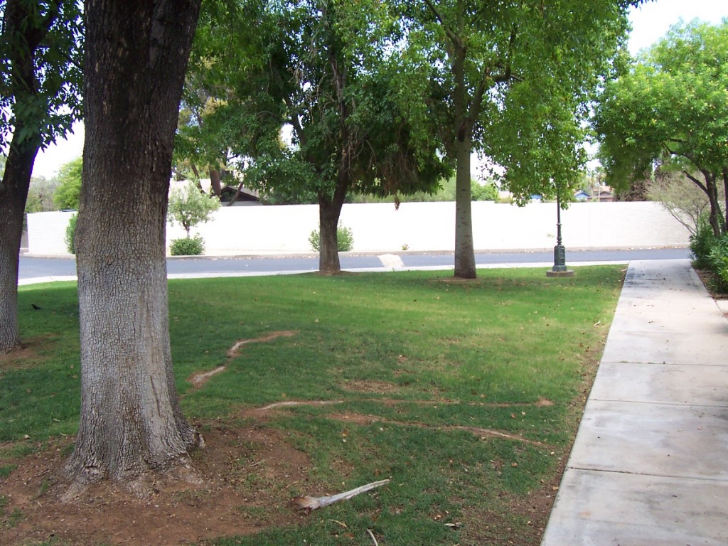 1222 West Baseline Road, Unit 257 Tempe, AZ 85283 - Photo 3 of 24 BEAUTIFUL GROUNDS