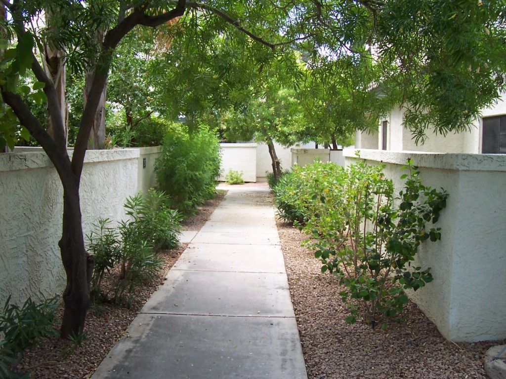 1222 West Baseline Road, Unit 257 Tempe, AZ 85283 - Photo 4 of 24 BEAUTIFUL GROUNDS