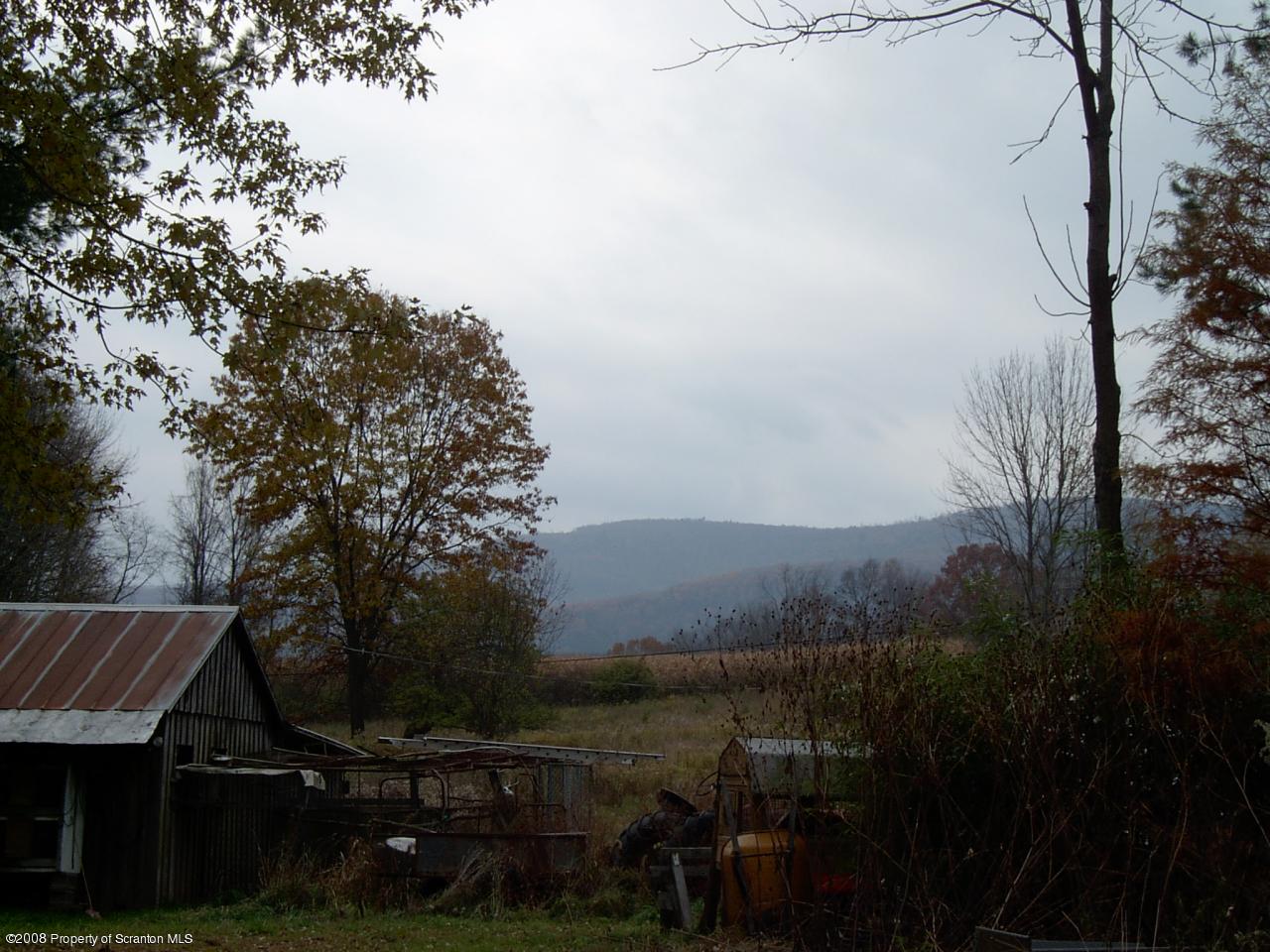 304 Lane Hill Road Tunkhannock, PA 18657 - Photo 3 of 4 a view of a backyard