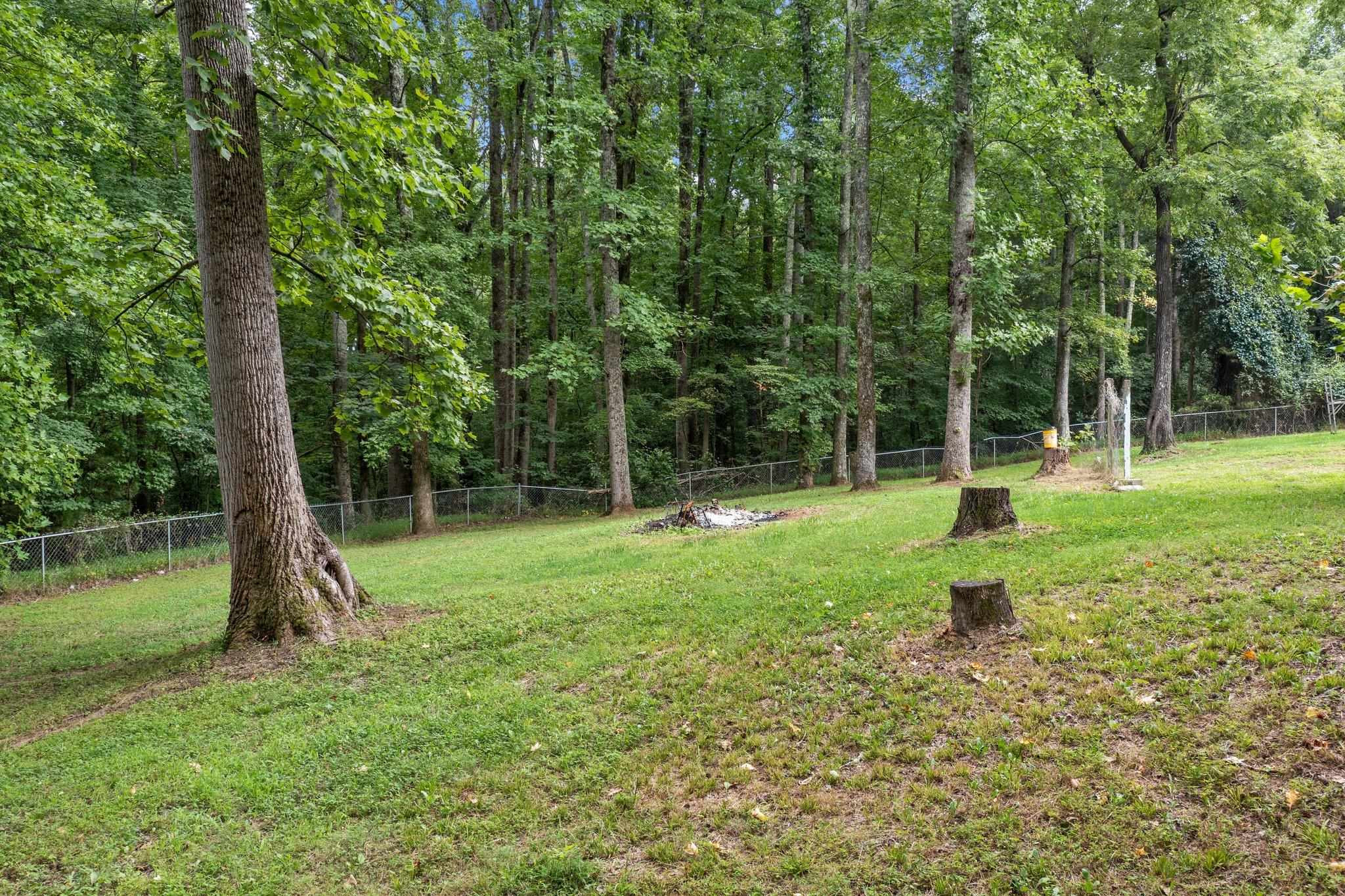 3914 Bahama Road Rougemont, NC 27572 - Photo 6 of 28 Photo 6