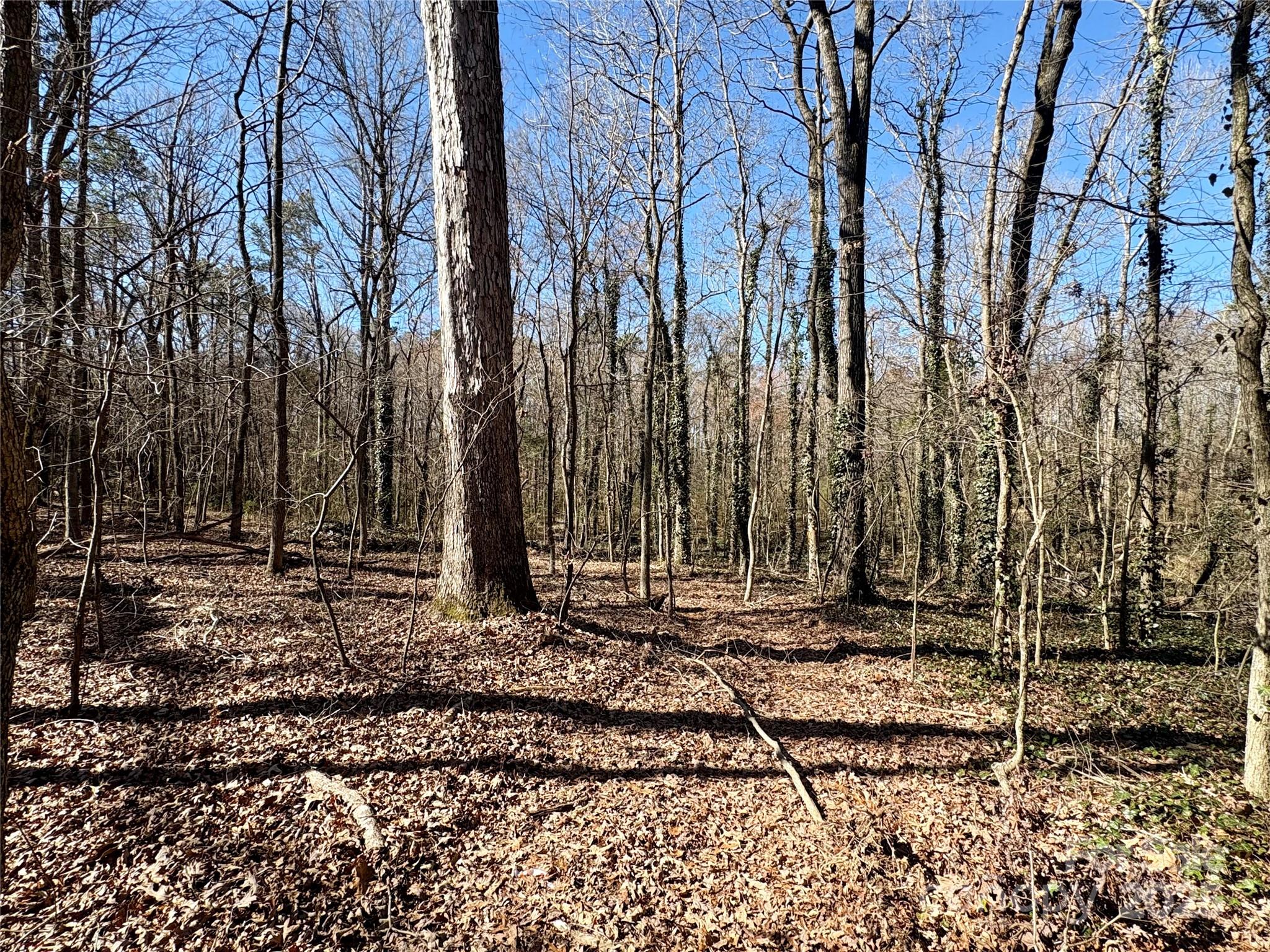 1417 Ellis Griffin Road, Unit 6 Wingate, NC 28174 - Photo 1 of 9 Gallery Image 1